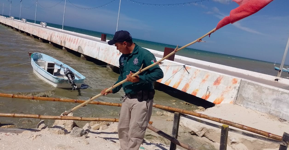 La marea roja se aleja de las costas yucatecas