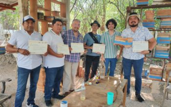 Foto de los participantes del taller de cuidado de abejas meliponas