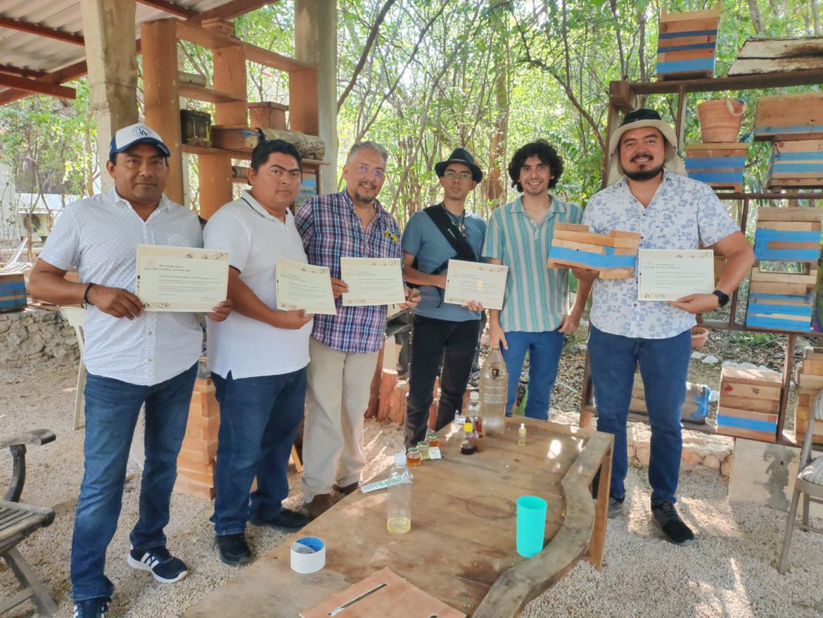 Happy Bee-day: Mi no cumpleaños en el taller de abejas meliponas