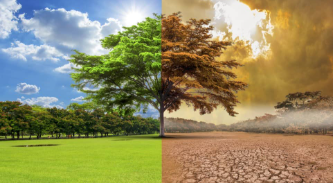 El impacto del cambio climático: Datos que nos alertan