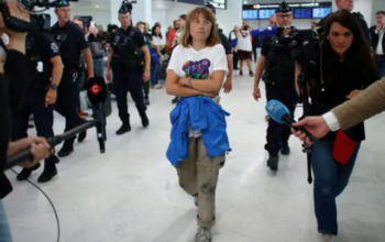 Imagen de internet que muestra a la activista Greta Thunberg