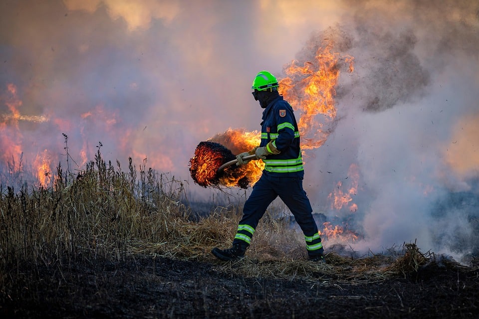 Incendios en España: el peor verano de la historia con más de 380 mil hectáreas calcinadas